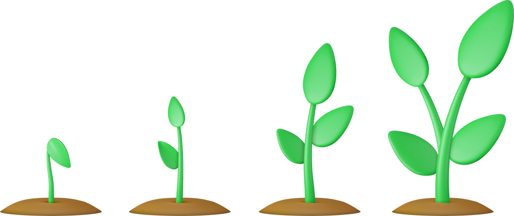 3d sprouts. Phases plant growing.